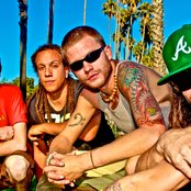 The Movement - List pictures