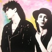 Soft Cell - List pictures