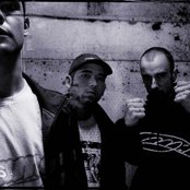 Dealema - List pictures