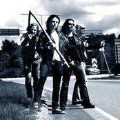 Wolf - List pictures