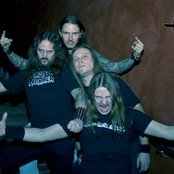 Wolf - List pictures