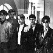 The Suburbs - List pictures