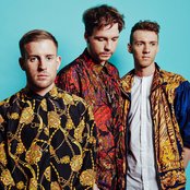 Teddy - List pictures