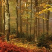 People Of The North - List pictures