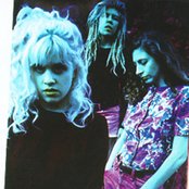 Babes In Toyland - List pictures