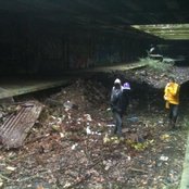 Is Tropical - List pictures