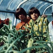 Seeds - List pictures