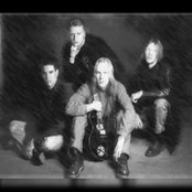 Wings - List pictures