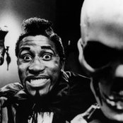 Screamin' Jay Hawkins - List pictures