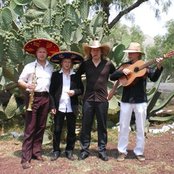 Quadro Nuevo - List pictures