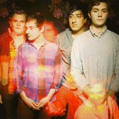 Grizzly Bear - List pictures