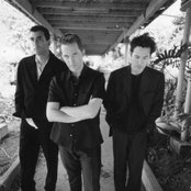 Dogstar - List pictures