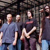 Suffocation - List pictures