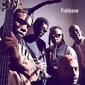 Fishbone - List pictures