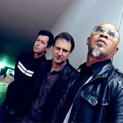 Plebe Rude - List pictures