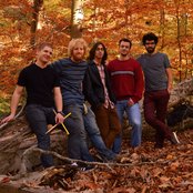 The Ripples - List pictures