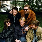 Mezzoforte - List pictures