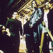 Stereomud - List pictures