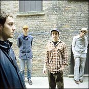 Owls - List pictures