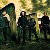 Vendetta Red - List pictures