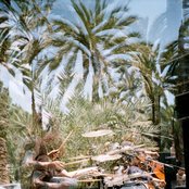 Circulatory System - List pictures