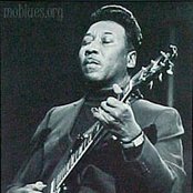 Muddy Waters - List pictures
