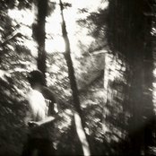 Austin Cesear - List pictures