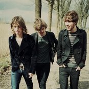 Dewolff - List pictures