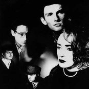 Dead Can Dance - List pictures