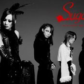 Sugar - List pictures