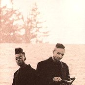 Black Sheep - List pictures