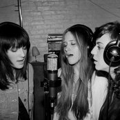 The Dirty Projectors - List pictures