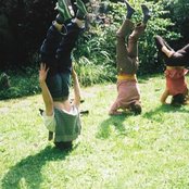 Fránçois & The Atlas Mountains - List pictures