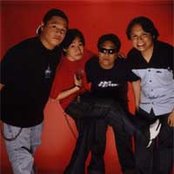 Itchyworms - List pictures