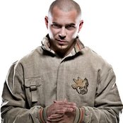 Pitbull - List pictures