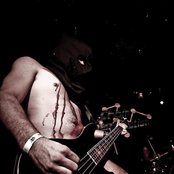 Creatures - List pictures