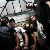 Pendulum - List pictures