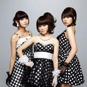 Negicco - List pictures