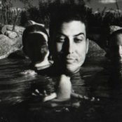 Giant Sand - List pictures