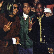 Digital Underground - List pictures