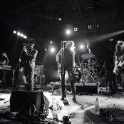 Dark Horses - List pictures