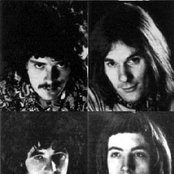 Horse - List pictures