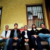 311 - List pictures
