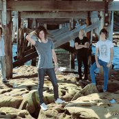 The Polaroid People - List pictures