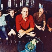 Sense Field - List pictures