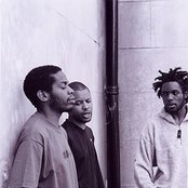 Gamma - List pictures