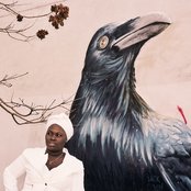 Daymé Arocena - List pictures
