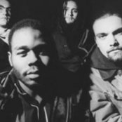 Orange 9mm - List pictures