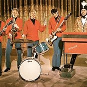 Sam The Sham & The Pharaohs - List pictures