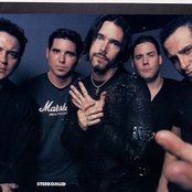 Stereomud - List pictures